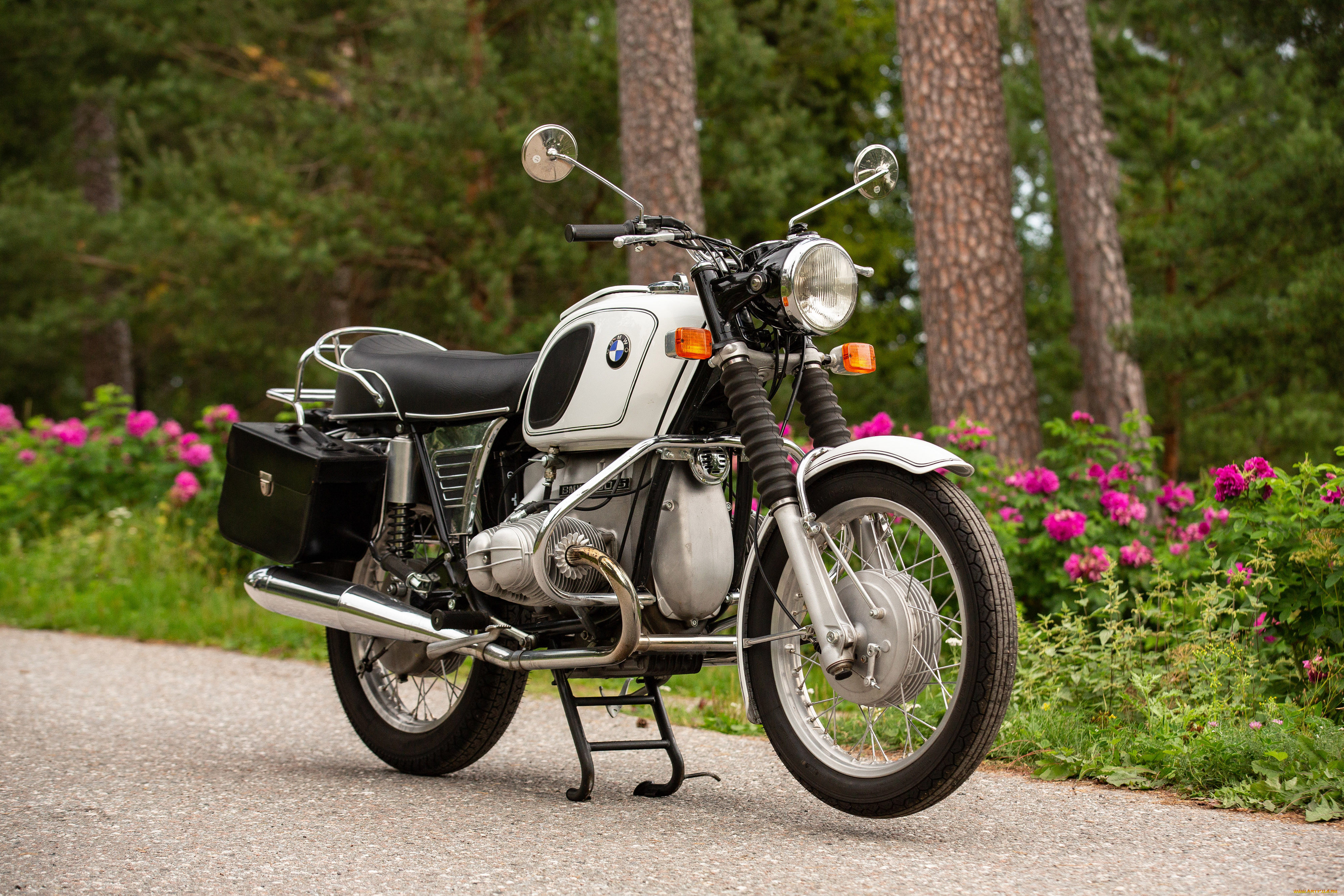 ���������, bmw